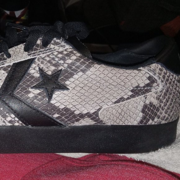 Python converse cons - Picture 3 of 7